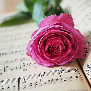 Eine Rose liegt auf einem Notenblatt.