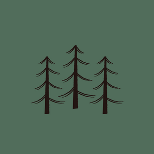 Drei Tannenbäume auf grünem Hintergrund.